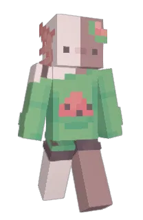 Front of melolotl's skin