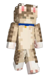 Front of SOwOfy's skin