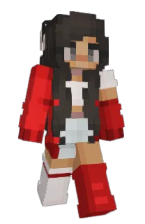 Front of SoupiestBook241's skin