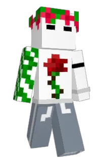 Front of Minecraft skin