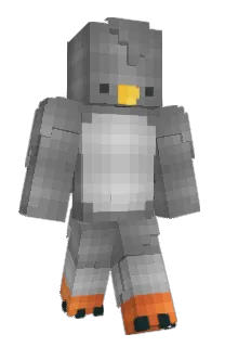 Front of yot's skin