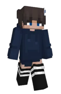 Front of Splashion's skin