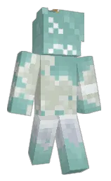 Classic Minecraft skin