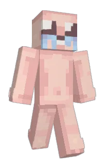 Front of Minecraft skin