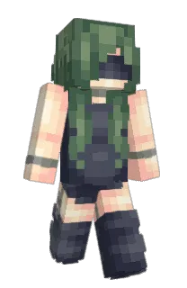 Front of satarisu's skin