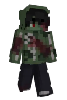 16yrs Minecraft avatar full body