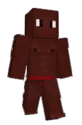 xyl21