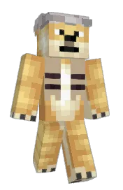Skin preview