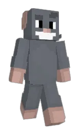 shuttle gray and nevada Minecraft skin — Slim model — first worn by Bob1852
