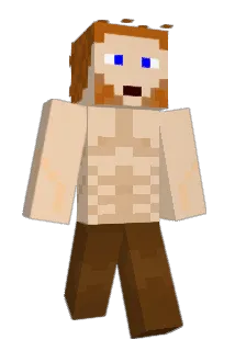172033 Minecraft avatar full body