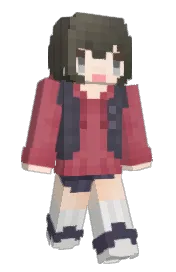 Skin preview