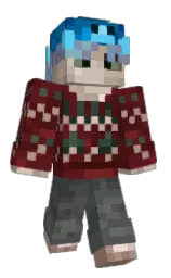 Back of Skysh1z's skin