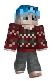 Front of Skysh1z's skin