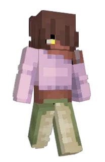 Front of punkpixx's skin