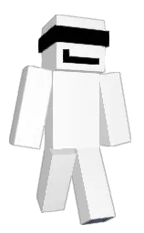 white and black Minecraft skin — Classic model — first worn by A_848