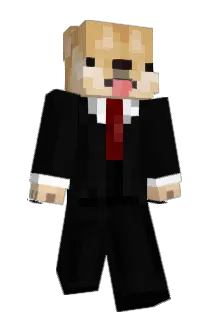 176h Minecraft avatar full body