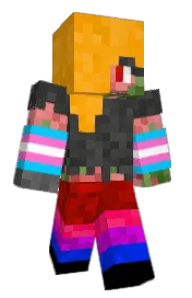 Skin preview