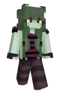 Front of maomaoat's skin