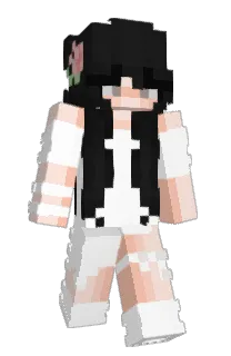 Front of LemonCounter's skin
