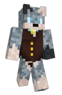 Front of Swiftdragon07's skin