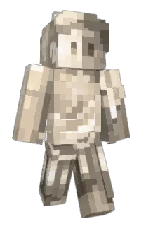 Front of Nootls's skin