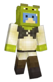 Skin preview
