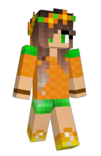 CraftLee's Minecraft skin
