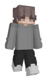 gray and mine shaft Minecraft skin — Slim model