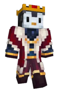 Front of castiguem's skin