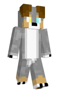 Front of _afox's skin