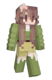 Skin preview