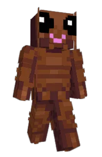 Front of Minecraft skin
