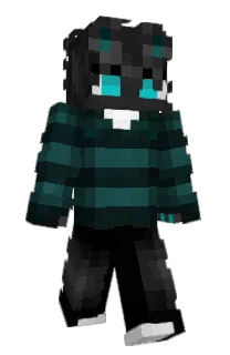 Front of 1dont's skin