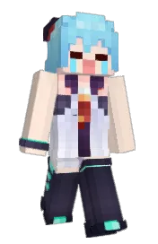 Skin preview