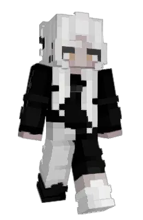 Front of SUNGxSUNG's skin