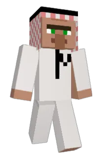 17iaa Minecraft avatar full body