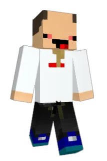 17pm Minecraft avatar full body