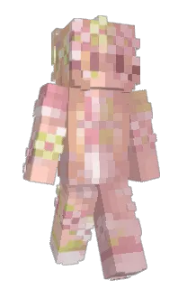 Front of JustBee's skin