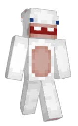 Minecraft skin — Classic model