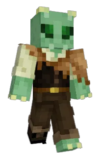 Front of Atvoo's skin
