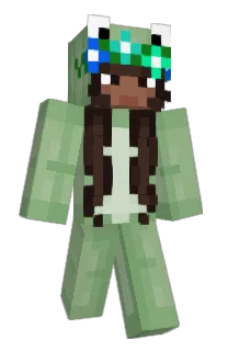 Front of SlinkyRacoons's skin
