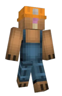 Front of moldos's skin