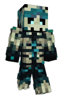 Front of WAREQ_54's skin