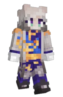 Front of VI_84's skin