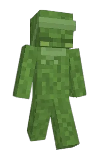Front of Whekei3je's skin