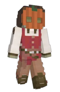 Front of Rhamkin's skin