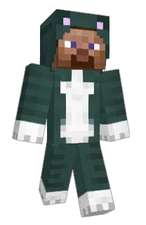 Front of Evaluate's skin