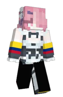 Front of sitret's skin