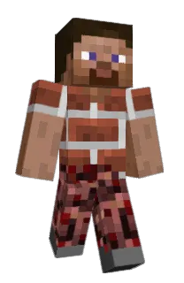 Front of xiaozuan250's skin