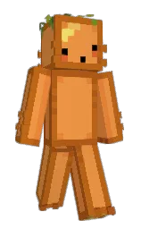 jaffa and orange roughy Minecraft skin — Slim model